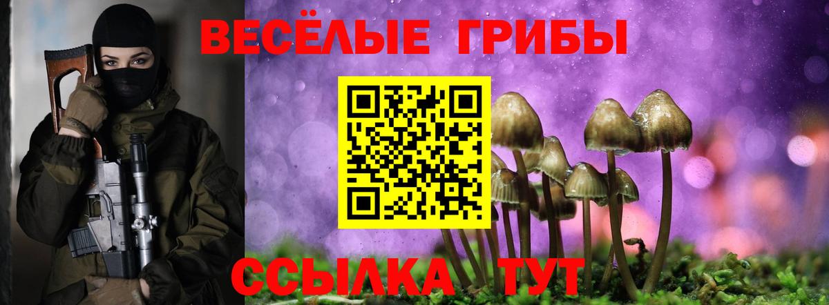 Галлюциногенные грибы Cubensis  Вход с VPN  Волгоград 